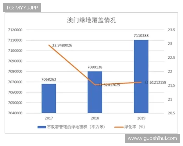 澳门六大赌牌的未来发展趋势与行业影响深度分析助力行业从业者把握机遇